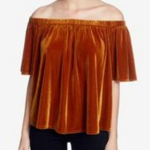 NWT Catherine Malandrino Velvet Bloom Top Large